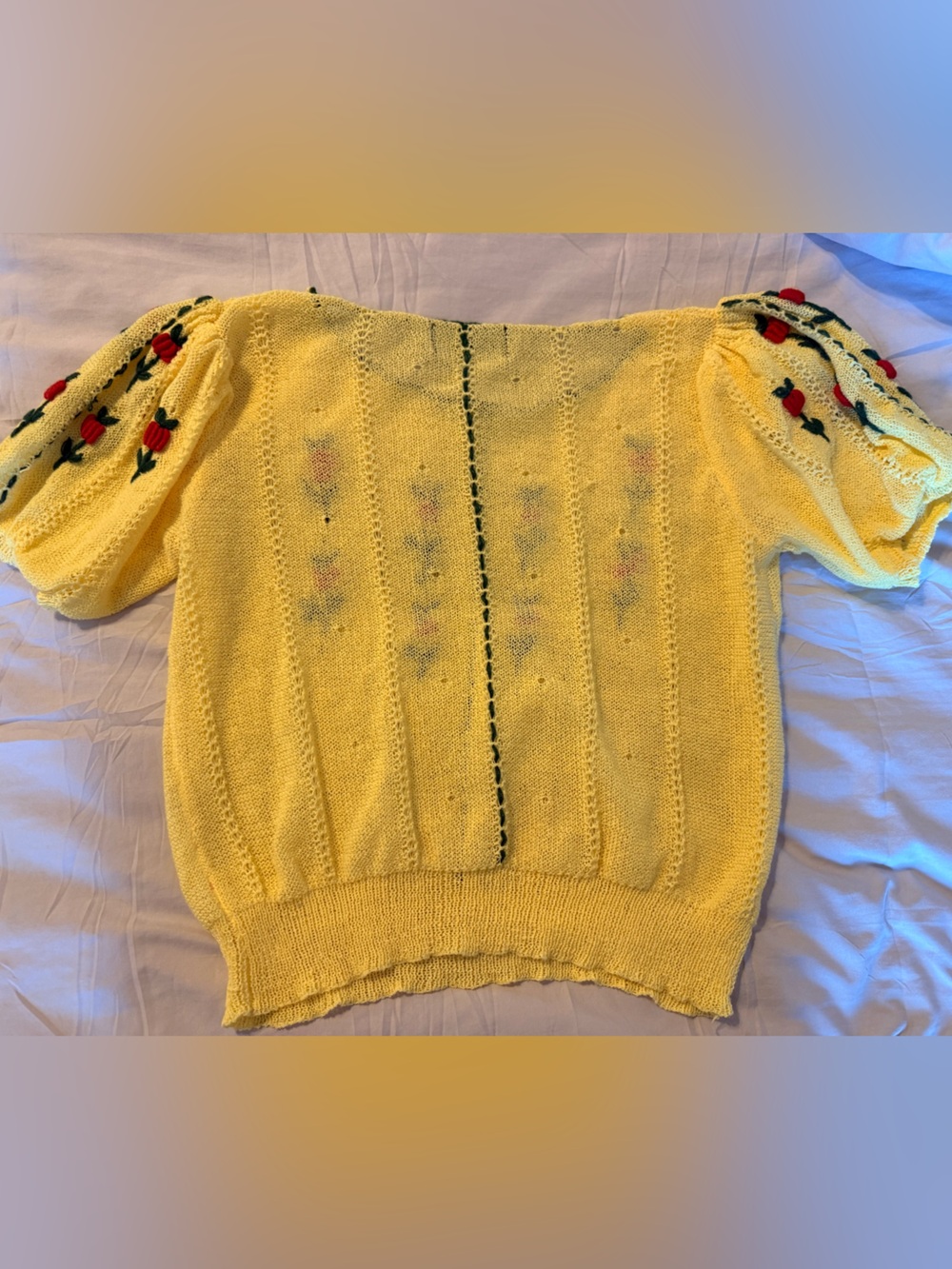 Cider Yellow Knit Scoop Neck Sweater with Red Rose Embroidery - Picture 2 of 4